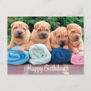 Happy Birthday Chinese Shar Pei Puppy Dog Briefkaa Briefkaart