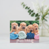 Happy Birthday Chinese Shar Pei Puppy Dog Briefkaa Briefkaart (Staand voorkant)