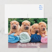 Happy Birthday Chinese Shar Pei Puppy Dog Briefkaa Briefkaart (Voorkant / Achterkant)