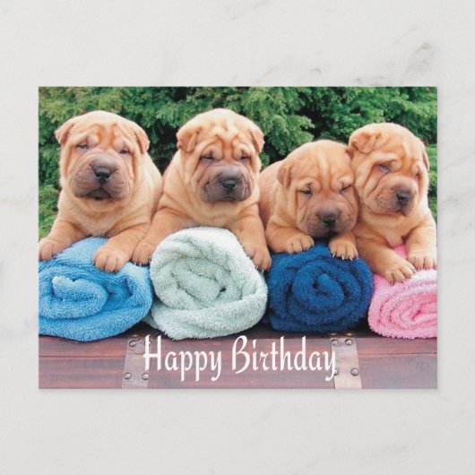 Happy Birthday Chinese Shar Pei Puppy Dog Briefkaa Briefkaart (Voorkant)