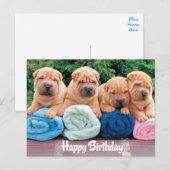 Happy Birthday Chinese Shar Pei Puppy Dog Briefkaa Briefkaart (Voorkant / Achterkant)