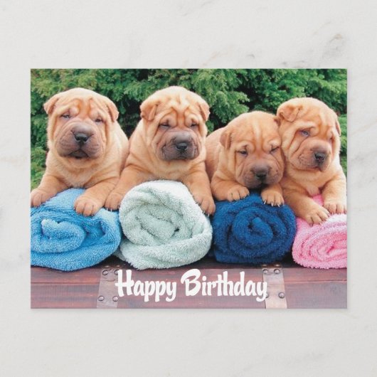 Happy Birthday Chinese Shar Pei Puppy Dog Briefkaa Briefkaart (Voorkant)