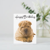 Happy Birthday Chinese Shar Pei Puppy Dog Kaart (Staand voorkant)