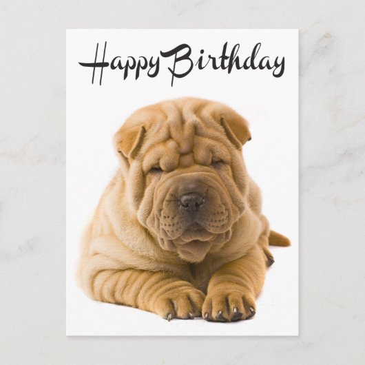 Happy Birthday Chinese Shar Pei Puppy Dog Kaart (Voorkant)