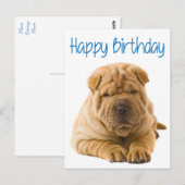 Happy Birthday Chinese Shar Pei Puppy Dog Kaart (Voorkant / Achterkant)