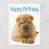 Happy Birthday Chinese Shar Pei Puppy Dog Kaart (Voorkant)