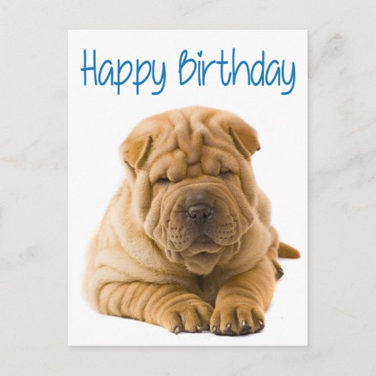 Happy Birthday Chinese Shar Pei Puppy Dog Kaart (Voorkant)