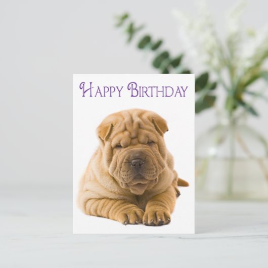 Happy Birthday Chinese Shar Pei Puppy Dog Kaart (Staand voorkant)