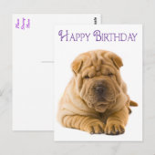 Happy Birthday Chinese Shar Pei Puppy Dog Kaart (Voorkant / Achterkant)