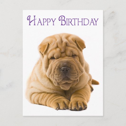 Happy Birthday Chinese Shar Pei Puppy Dog Kaart (Voorkant)