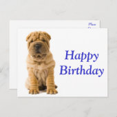 Happy Birthday Chinese Shar Pei Puppy Dog Kaart (Voorkant / Achterkant)