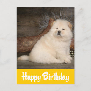Happy Birthday Chow Puppy Dog Yellow Briefkaart