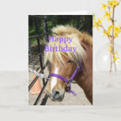 Happy Birthday Christelijke Kaart Pony (Gele Bloem)