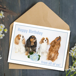 Happy Birthday Co-Worker Cavalier King Charles Dog Kaart