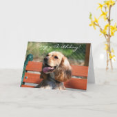 Happy Birthday Cocker Spaniel wenskaart Kaart (Gele Bloem)