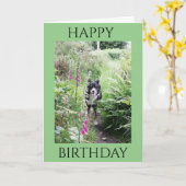'Happy Birthday' Collie en Foxhandschoenen Quality Kaart (Gele Bloem)