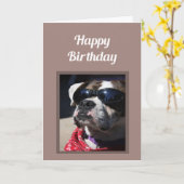 Happy Birthday Cool Guy Fun Boxer Dog Greeting Kaart (Gele Bloem)