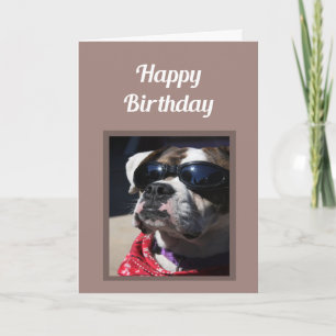 Happy Birthday Cool Guy Fun Boxer Dog Greeting Kaart