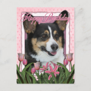 Happy Birthday - Corgi Briefkaart