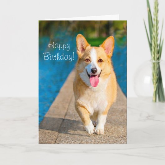 Happy Birthday Corgi Dog Kaart (Voorkant)