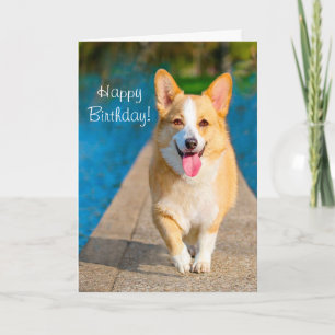 Happy Birthday Corgi Dog Kaart