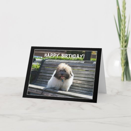 Happy Birthday Coton de Tulear Puppy wenskaart Kaart (Voorkant)