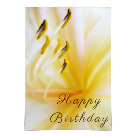 "Happy Birthday" Cream Lily Kaart