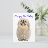 Happy Birthday Cream Pekingese Puppy Dog Blue Briefkaart (Staand voorkant)
