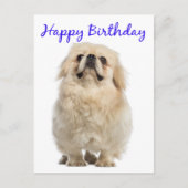Happy Birthday Cream Pekingese Puppy Dog Blue Briefkaart (Voorkant)