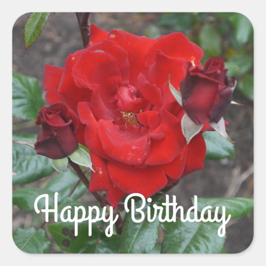 Happy Birthday Crimson Bouquet Roos #1 Stickers (Voorkant)