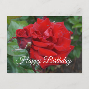 Happy Birthday Crimson Bouquet Roos #2 Briefkaart