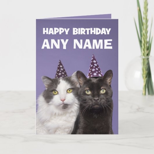 Happy Birthday Custom Name Funny Cats in Pet Feestdagen Kaart (Voorkant)