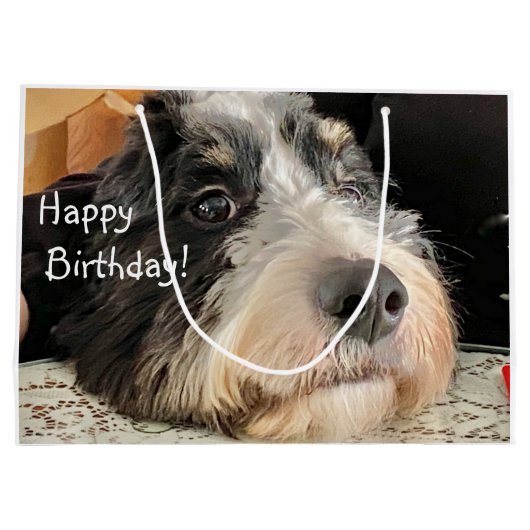Happy Birthday Cute Bernedoodle Groot Cadeauzakje (Achterkant)