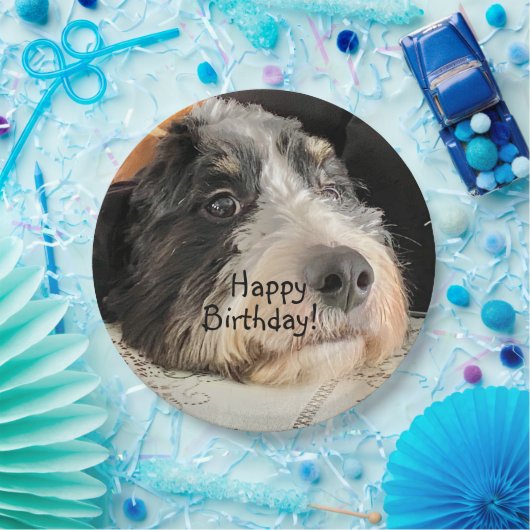 Happy Birthday Cute Bernedoodle Papieren Bordje (Feest)