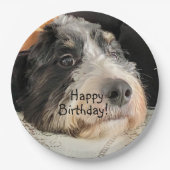 Happy Birthday Cute Bernedoodle Papieren Bordje (Voorkant)