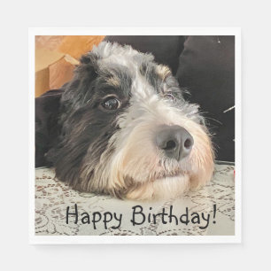 Happy Birthday Cute Bernedoodle Servet