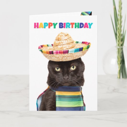Happy Birthday Cute Black Cat in Sombrerro Feestdagen Kaart (Voorkant)