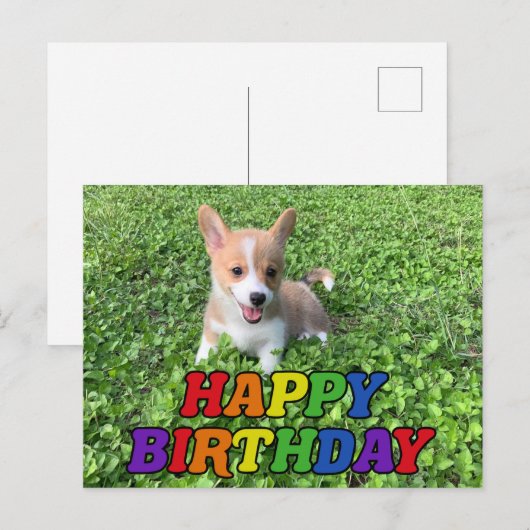 Happy Birthday Cute Corgi Puppy Photo Briefkaart (Voorkant / Achterkant)