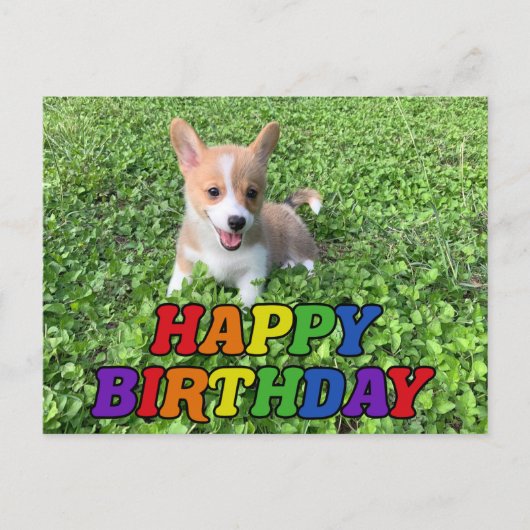Happy Birthday Cute Corgi Puppy Photo Briefkaart (Voorkant)
