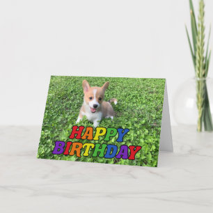 Happy Birthday Cute Corgi Puppy Photo Rainbow Kaart