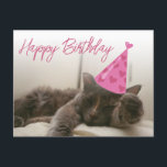 happy birthday cute funny cat with hat sleeping briefkaart<br><div class="desc">some of the desigh elements from freepik.com
happy birthday cute cat with hat, fun calligraphy, custom.
2 sided card, on the back side birthday message.</div>
