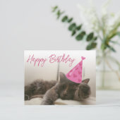 happy birthday cute funny cat with hat sleeping briefkaart (Staand voorkant)