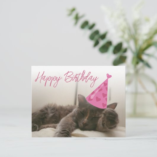 happy birthday cute funny cat with hat sleeping briefkaart (Staand voorkant)
