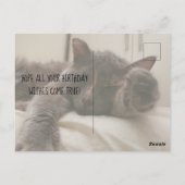 happy birthday cute funny cat with hat sleeping briefkaart (Achterkant)