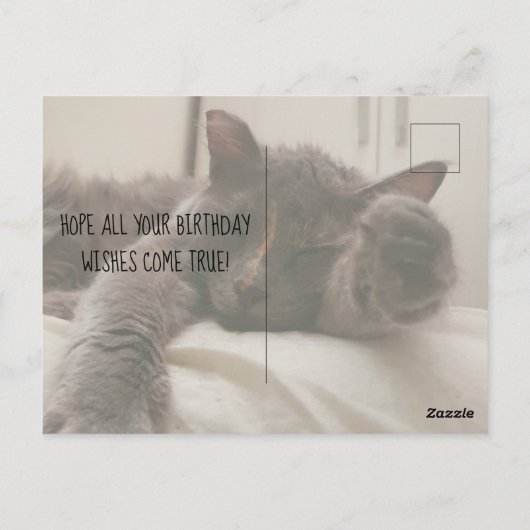 happy birthday cute funny cat with hat sleeping briefkaart (Achterkant)