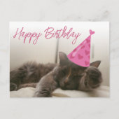 happy birthday cute funny cat with hat sleeping briefkaart (Voorkant)