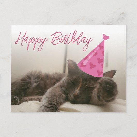 happy birthday cute funny cat with hat sleeping briefkaart (Voorkant)