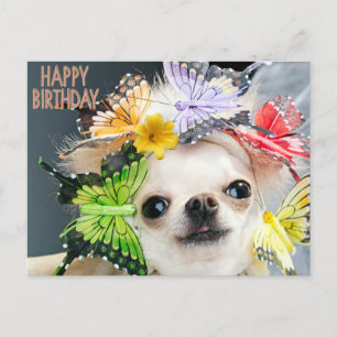 Happy Birthday Cute Funny Dog Feestdagenkaart