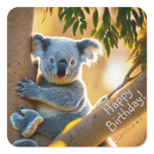 Happy Birthday Cute Koala Beer Stickers