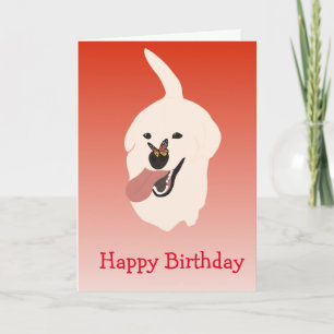 Happy Birthday Cute Labrador Golden Retriever Kaart